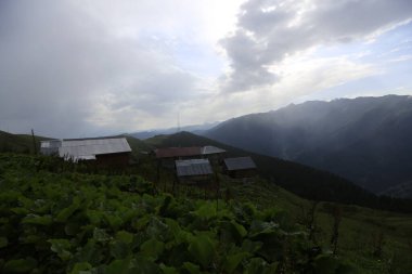 Kackar dağları ve dağların eteklerine kurulmuş yaylalar.