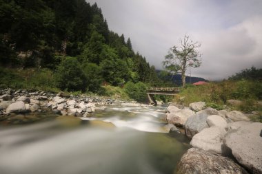 Kackar dağları ve dağların eteklerine kurulmuş yaylalar.