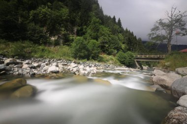Kackar dağları ve dağların eteklerine kurulmuş yaylalar.