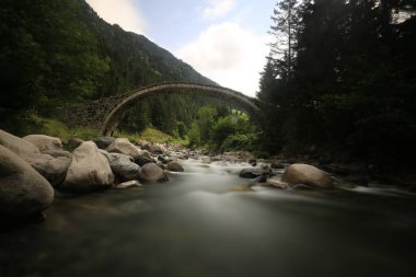 Kackar dağları ve dağların eteklerine kurulmuş yaylalar.