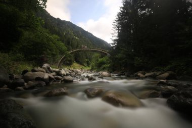 Kackar dağları ve dağların eteklerine kurulmuş yaylalar.