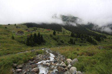 Kackar dağları ve dağların eteklerine kurulmuş yaylalar.