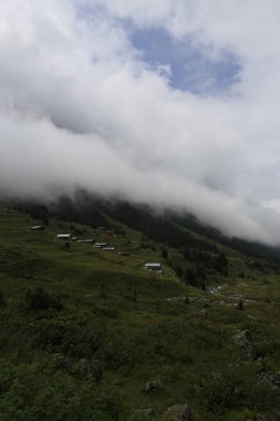 Kackar dağları ve dağların eteklerine kurulmuş yaylalar.