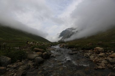 Kackar dağları ve dağların eteklerine kurulmuş yaylalar.