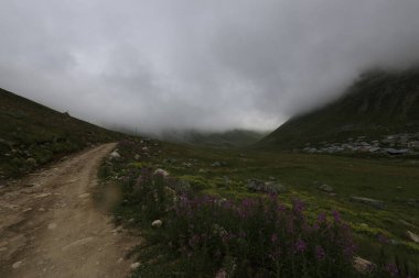 Kackar dağları ve dağların eteklerine kurulmuş yaylalar.
