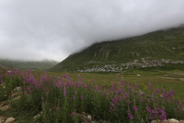 Kackar dağları ve dağların eteklerine kurulmuş yaylalar.