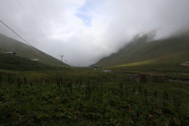 Kackar dağları ve dağların eteklerine kurulmuş yaylalar.