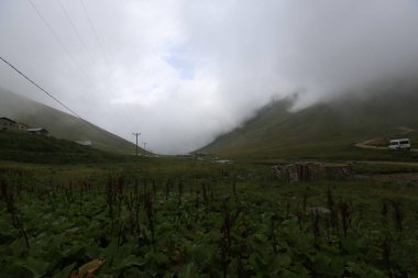 Kackar dağları ve dağların eteklerine kurulmuş yaylalar.