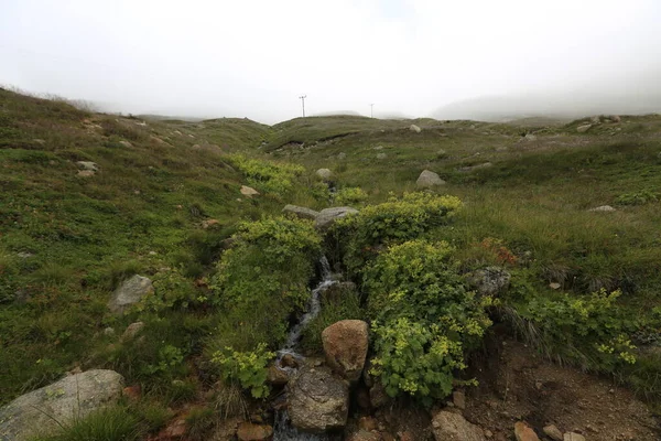 Kackar dağları ve dağların eteklerine kurulmuş yaylalar.