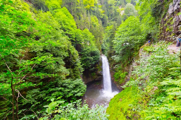 Cascata Palovit Kackars Rize — Foto Stock