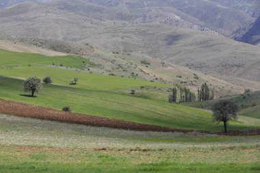 Erciyes Dağı, Orta Anadolu Bölgesi 'nde yer alan bir yanardağdır. Kayseri 'nin 25 km güneybatısındaki Sultansazl ovalardan yükselen devasa bir stratovolcano..