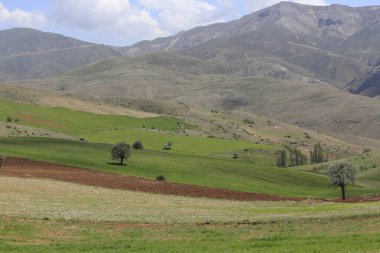 Erciyes Dağı, Orta Anadolu Bölgesi 'nde yer alan bir yanardağdır. Kayseri 'nin 25 km güneybatısındaki Sultansazl ovalardan yükselen devasa bir stratovolcano..