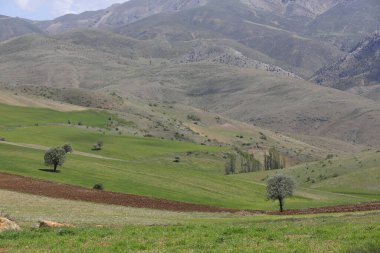 Erciyes Dağı, Orta Anadolu Bölgesi 'nde yer alan bir yanardağdır. Kayseri 'nin 25 km güneybatısındaki Sultansazl ovalardan yükselen devasa bir stratovolcano..