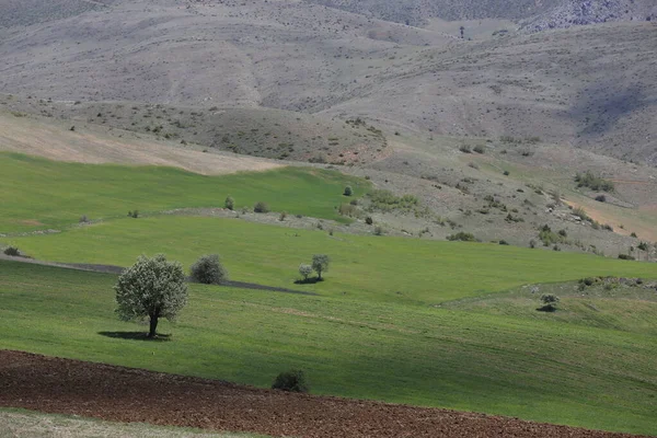 Montagna Erciyes Vulcano Situato Nella Regione Dell Anatolia Centrale Sultansazl — Foto Stock