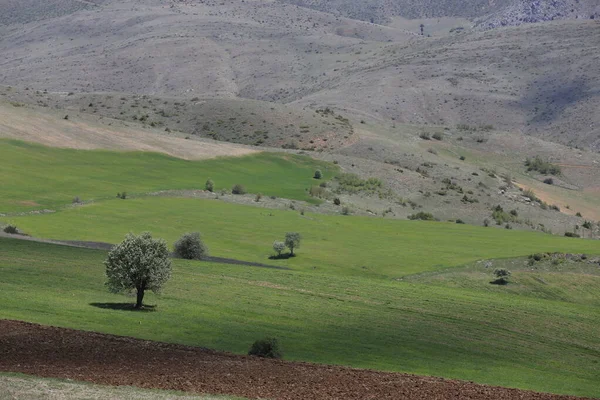 Erciyes Mountain Een Vulkaan Regio Midden Anatolië Sultansazl Ten Zuidwesten — Stockfoto