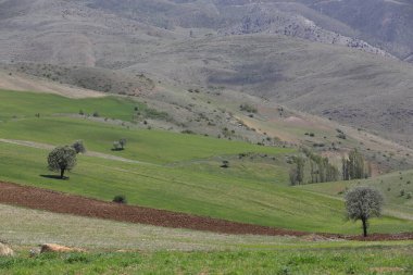 Erciyes Dağı, Orta Anadolu Bölgesi 'nde yer alan bir yanardağdır. Kayseri 'nin 25 km güneybatısındaki Sultansazl ovalardan yükselen devasa bir stratovolcano..