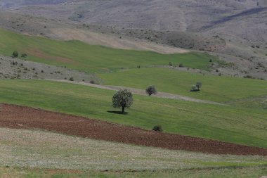 Erciyes Dağı, Orta Anadolu Bölgesi 'nde yer alan bir yanardağdır. Kayseri 'nin 25 km güneybatısındaki Sultansazl ovalardan yükselen devasa bir stratovolcano..