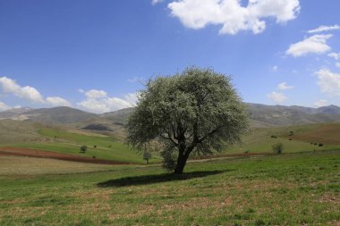 Erciyes Dağı, Orta Anadolu Bölgesi 'nde yer alan bir yanardağdır. Kayseri 'nin 25 km güneybatısındaki Sultansazl ovalardan yükselen devasa bir stratovolcano..