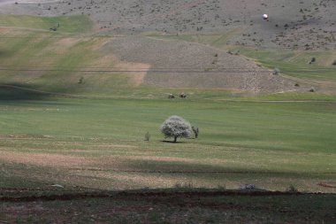 Erciyes Dağı, Orta Anadolu Bölgesi 'nde yer alan bir yanardağdır. Kayseri 'nin 25 km güneybatısındaki Sultansazl ovalardan yükselen devasa bir stratovolcano..