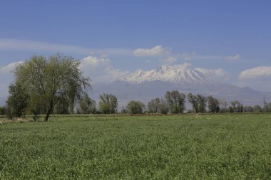 Erciyes Dağı, Orta Anadolu Bölgesi 'nde yer alan bir yanardağdır. Kayseri 'nin 25 km güneybatısındaki Sultansazl ovalardan yükselen devasa bir stratovolcano..