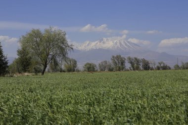 Erciyes Dağı, Orta Anadolu Bölgesi 'nde yer alan bir yanardağdır. Kayseri 'nin 25 km güneybatısındaki Sultansazl ovalardan yükselen devasa bir stratovolcano..