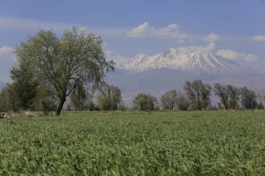 Erciyes Dağı, Orta Anadolu Bölgesi 'nde yer alan bir yanardağdır. Kayseri 'nin 25 km güneybatısındaki Sultansazl ovalardan yükselen devasa bir stratovolcano..