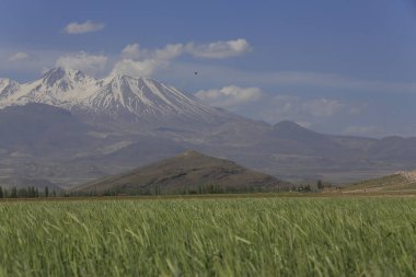 Erciyes Dağı, Orta Anadolu Bölgesi 'nde yer alan bir yanardağdır. Kayseri 'nin 25 km güneybatısındaki Sultansazl ovalardan yükselen devasa bir stratovolcano..