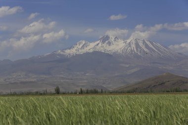 Erciyes Dağı, Orta Anadolu Bölgesi 'nde yer alan bir yanardağdır. Kayseri 'nin 25 km güneybatısındaki Sultansazl ovalardan yükselen devasa bir stratovolcano..