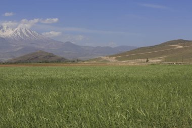 Erciyes Dağı, Orta Anadolu Bölgesi 'nde yer alan bir yanardağdır. Kayseri 'nin 25 km güneybatısındaki Sultansazl ovalardan yükselen devasa bir stratovolcano..