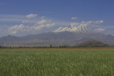 Erciyes Dağı, Orta Anadolu Bölgesi 'nde yer alan bir yanardağdır. Kayseri 'nin 25 km güneybatısındaki Sultansazl ovalardan yükselen devasa bir stratovolcano..
