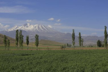 Erciyes Dağı, Orta Anadolu Bölgesi 'nde yer alan bir yanardağdır. Kayseri 'nin 25 km güneybatısındaki Sultansazl ovalardan yükselen devasa bir stratovolcano..