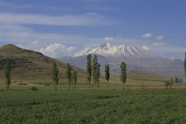 Erciyes Dağı, Orta Anadolu Bölgesi 'nde yer alan bir yanardağdır. Kayseri 'nin 25 km güneybatısındaki Sultansazl ovalardan yükselen devasa bir stratovolcano..
