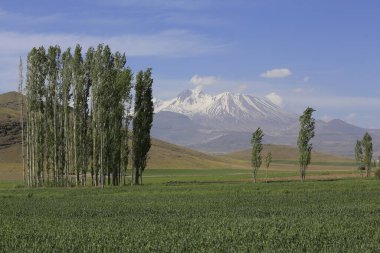 Erciyes Dağı, Orta Anadolu Bölgesi 'nde yer alan bir yanardağdır. Kayseri 'nin 25 km güneybatısındaki Sultansazl ovalardan yükselen devasa bir stratovolcano..