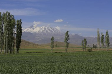 Erciyes Dağı, Orta Anadolu Bölgesi 'nde yer alan bir yanardağdır. Kayseri 'nin 25 km güneybatısındaki Sultansazl ovalardan yükselen devasa bir stratovolcano..