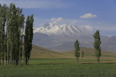Erciyes Dağı, Orta Anadolu Bölgesi 'nde yer alan bir yanardağdır. Kayseri 'nin 25 km güneybatısındaki Sultansazl ovalardan yükselen devasa bir stratovolcano..