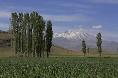 Erciyes Dağı, Orta Anadolu Bölgesi 'nde yer alan bir yanardağdır. Kayseri 'nin 25 km güneybatısındaki Sultansazl ovalardan yükselen devasa bir stratovolcano..
