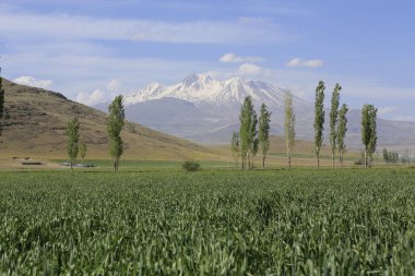 Erciyes Dağı, Orta Anadolu Bölgesi 'nde yer alan bir yanardağdır. Kayseri 'nin 25 km güneybatısındaki Sultansazl ovalardan yükselen devasa bir stratovolcano..