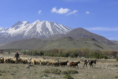 Erciyes Dağı, Orta Anadolu Bölgesi 'nde yer alan bir yanardağdır. Kayseri 'nin 25 km güneybatısındaki Sultansazl ovalardan yükselen devasa bir stratovolcano..