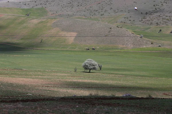Der Berg Erciyes Ist Ein Vulkan Zentralanatolien Sultansazl Südwestlich Von — Stockfoto