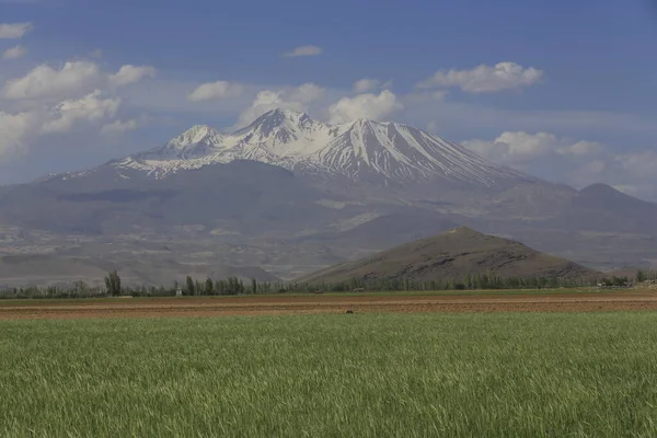 Erciyes Mountain Sopka Nacházející Střední Anatolii Sultansazl Jihozápadně Kayseri Masivní — Stock fotografie