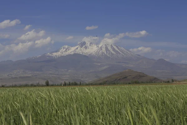 Montaña Erciyes Volcán Localizado Región Central Anatolia Sultansazl Suroeste Kayseri — Foto de Stock