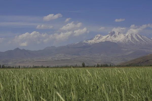 Erciyes Mountain Vulcão Localizado Região Anatólia Central Sultansazl Sudoeste Kayseri — Fotografia de Stock