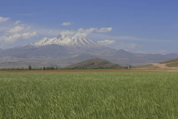 Montaña Erciyes Volcán Localizado Región Central Anatolia Sultansazl Suroeste Kayseri — Foto de Stock