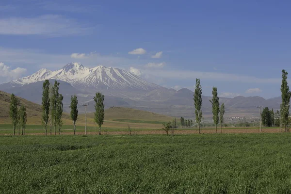 Montaña Erciyes Volcán Localizado Región Central Anatolia Sultansazl Suroeste Kayseri — Foto de Stock