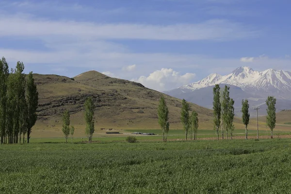 Erciyes Mountain Vulcão Localizado Região Anatólia Central Sultansazl Sudoeste Kayseri — Fotografia de Stock