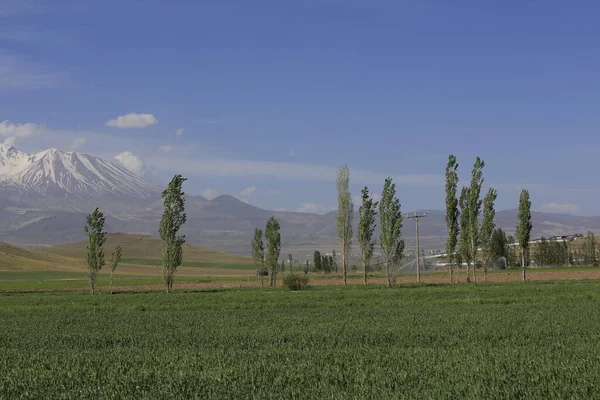 Erciyes Mountain Een Vulkaan Regio Midden Anatolië Sultansazl Ten Zuidwesten — Stockfoto