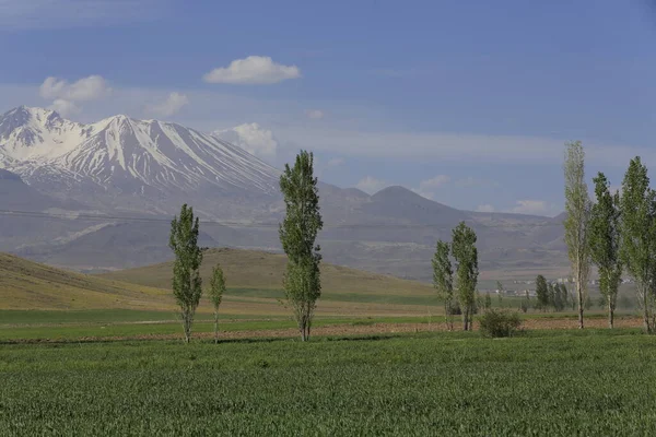 Montaña Erciyes Volcán Localizado Región Central Anatolia Sultansazl Suroeste Kayseri — Foto de Stock