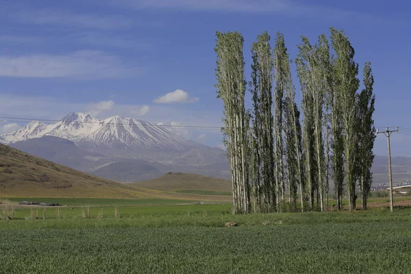Erciyes Mountain Vulcão Localizado Região Anatólia Central Sultansazl Sudoeste Kayseri — Fotografia de Stock