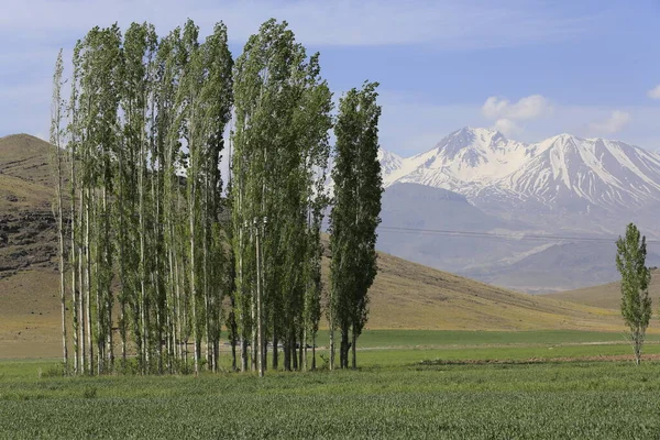 Erciyes Mountain Vulcão Localizado Região Anatólia Central Sultansazl Sudoeste Kayseri — Fotografia de Stock