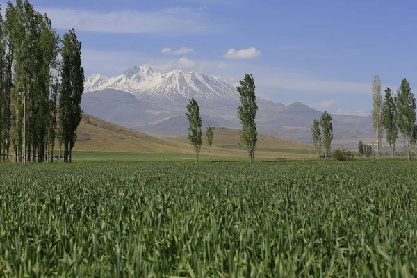 Гора Ерсієс Англ Erciyes Mountain Вулкан Розташований Регіоні Центральна Анатолія — стокове фото